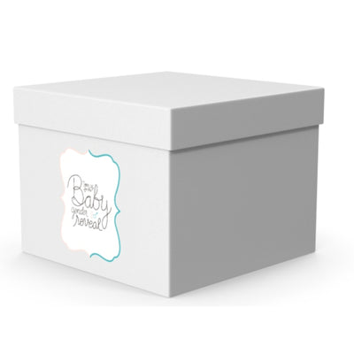 Gender Reveal Box Foamboard